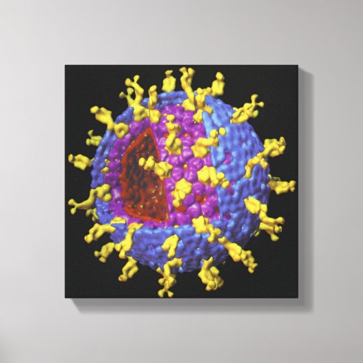 Rotavirus 2 canvas afdruk (Voorkant)