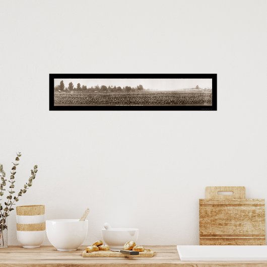 ROTC Fort Myer WWI Foto 1917 Poster (Keuken)