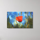 Rote Mohnblume Canvas Afdruk (Voorkant)