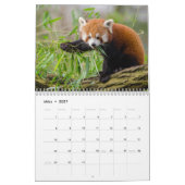 Rote Pandas Kalender (Mar 2027)