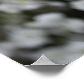 Rote Roos - Druck Poster (Hoek)