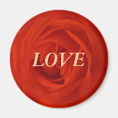 Rote Rose der Liebe Magneet (Voorkant)