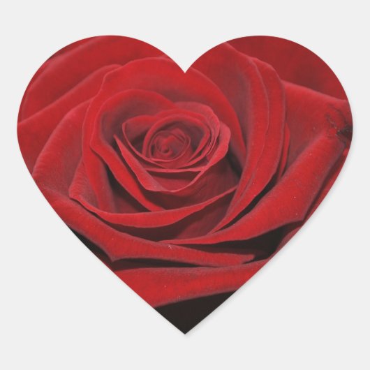 Rote Rose - Herzförmige Aufkleber Hart Sticker (Voorkant)