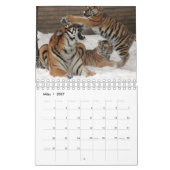Rote Tiger als Kalender (Mar 2027)