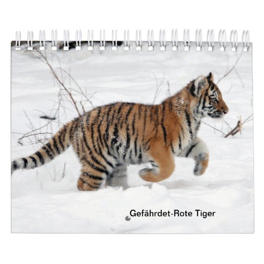 Rote Tiger als Kalender (Hoes)