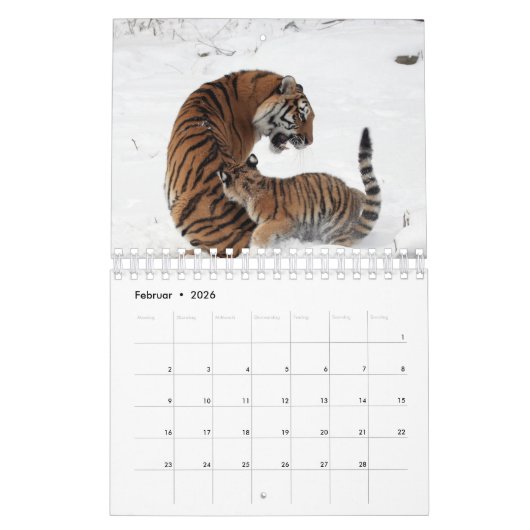 Rote Tiger als Kalender (Feb 2026)