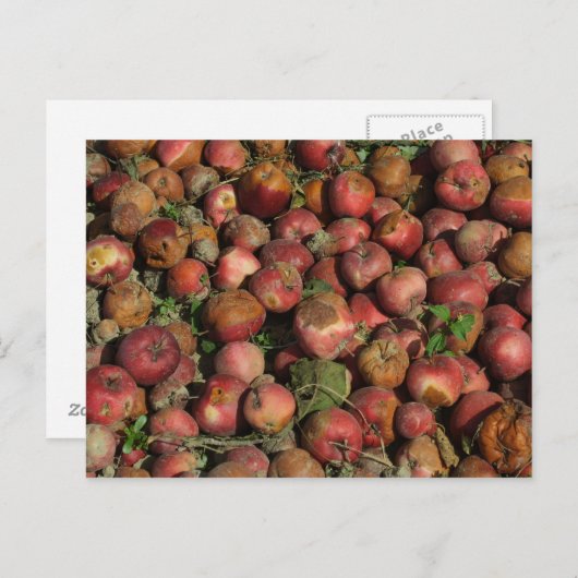 Roteer appels briefkaart (Voorkant / Achterkant)