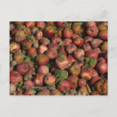 Roteer appels briefkaart (Voorkant)