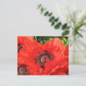 Roter Mohn Briefkaart (Staand voorkant)