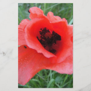 Roter Mohnblumenkelch Briefpapier