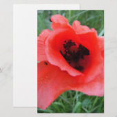 Roter Mohnblumenkelch Briefpapier (Voorkant / Achterkant)