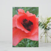Roter Mohnblumenkelch Briefpapier (Staand voorkant)