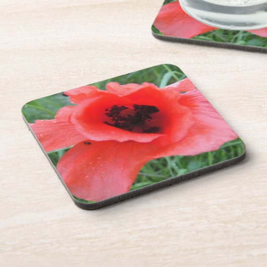 Roter Mohnblumenkelch Onderzetter (Linkerzijde)