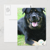 Roterende Briefkaarten (Voorkant / Achterkant)