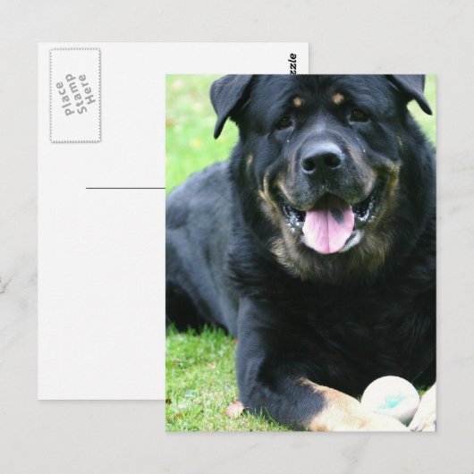 Roterende Briefkaarten (Voorkant / Achterkant)