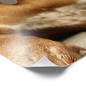 Roterende puppy dog yearning foto afdruk (Hoek)