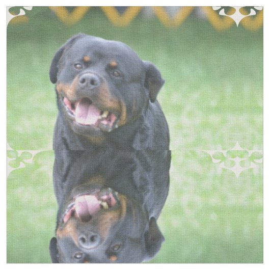 Roterende rottweiler glimlachen stof (Close Up)
