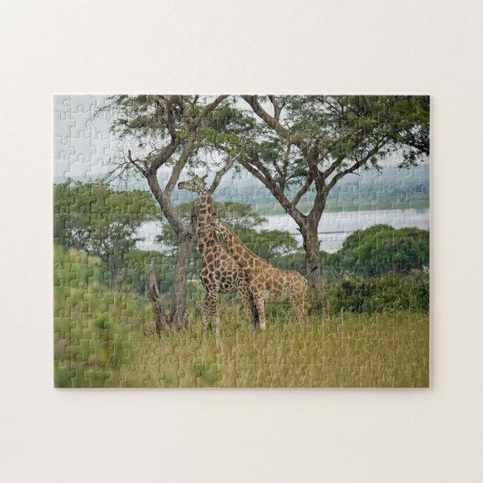 Rothschild-giraffen Oeganda. Legpuzzel (Horizontaal)