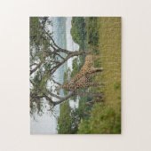 Rothschild-giraffen Oeganda. Legpuzzel (Verticaal)