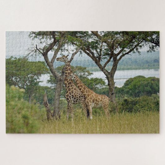 Rothschild-giraffen Oeganda. Legpuzzel (Horizontaal)