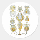 Rotifers Ronde Sticker (Voorkant)