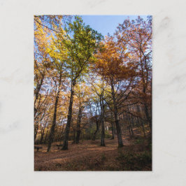 Rotino, Macedonië Briefkaart