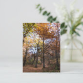 Rotino, Macedonië Briefkaart (Staand voorkant)