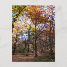 Rotino, Macedonië Briefkaart