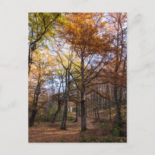 Rotino, Macedonië Briefkaart (Voorkant)