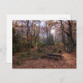 Rotino, Macedonië Briefkaart (Voorkant / Achterkant)