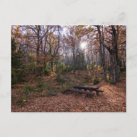 Rotino, Macedonië Briefkaart (Voorkant)