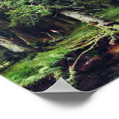 Rotkäppchen Little Red Riding Hood Grimm Poster (Hoek)