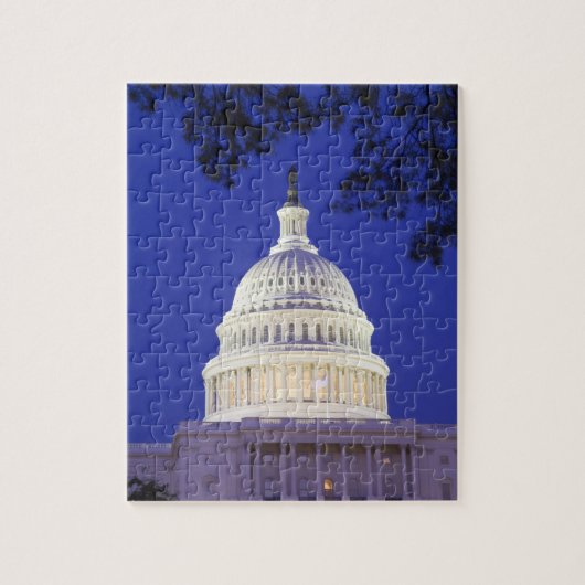 Rotonde van het Capitool 's nachts, Washington Legpuzzel (Verticaal)