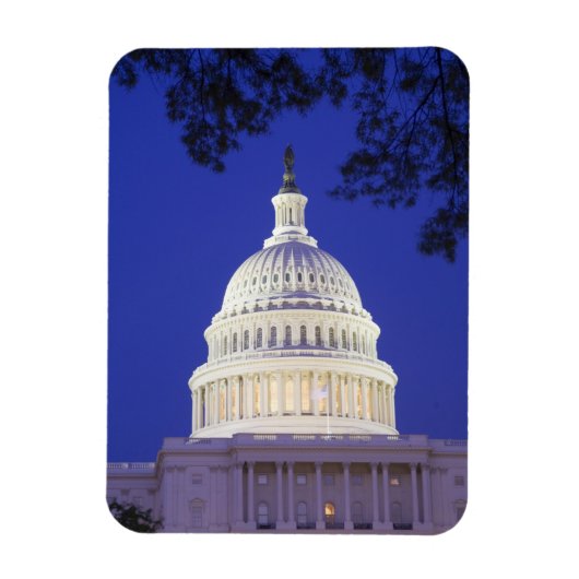 Rotonde van het Capitool 's nachts, Washington Magneet (Verticaal)