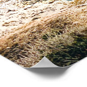 Rotorua hot springen Nieuw-Zeelandse reisdruk Poster (Hoek)