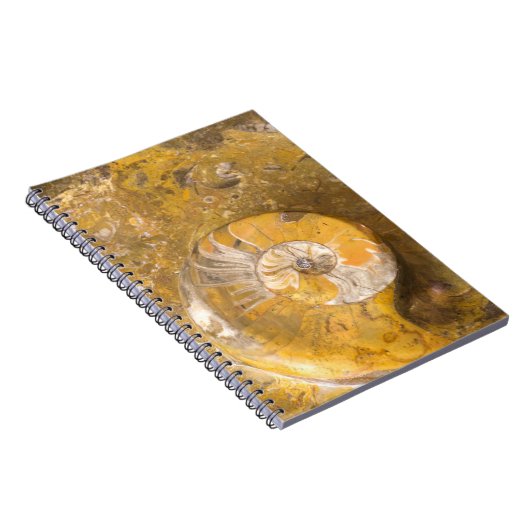 Rots die Vele Fossielen & Foto van de Ammoniet Notitieboek (Rechterzijde)