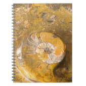 Rots die Vele Fossielen & Foto van de Ammoniet Notitieboek (Voorkant)