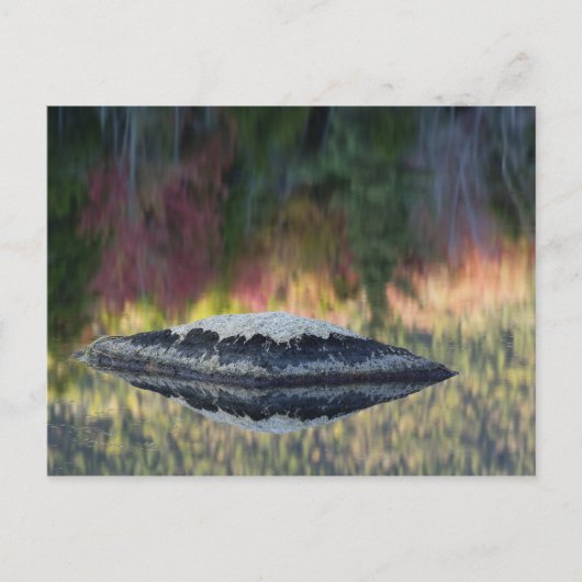 Rots- en boomreflectie, Lily Pond, Wit Briefkaart (Voorkant)