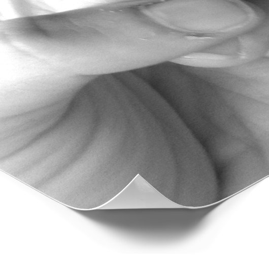 rots en rol poster (Hoek)