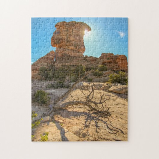 rots legpuzzel (Verticaal)