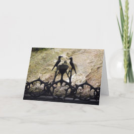 Rots van Agony, Jeruzalem, Israël - kleur, kaart