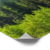 Rotsachtige bergtop en bossen bij Golden Gate Poster (Hoek)