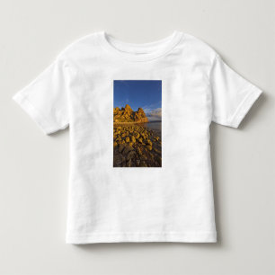 rotsachtige kustlijn op Isla Carmen in de Golf van Kinder Shirts
