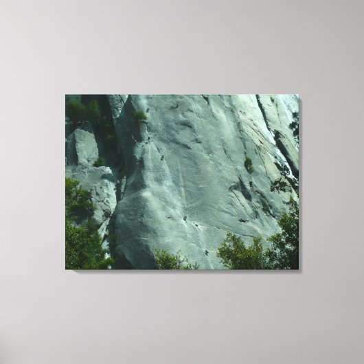 Rotsbeklimmers op El Capitan Canvas Afdruk (Voorkant)