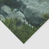 Rotsbeklimmers op El Capitan Tissuepapier (Detail)