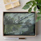 Rotsbeklimmers op El Capitan Tissuepapier (Geschenk)