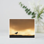 Rotschenkel Natuurfoto Briefkaart (Staand voorkant)