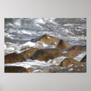 Rotsen en golven in Rhode Island Poster
