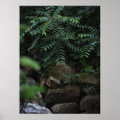 Rotsen en groen poster (Voorkant)