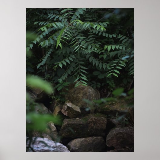 Rotsen en groen poster (Voorkant)